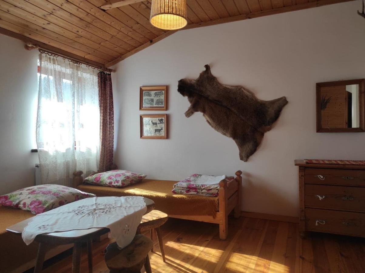Hotel Hajstra Krempna Esterno foto